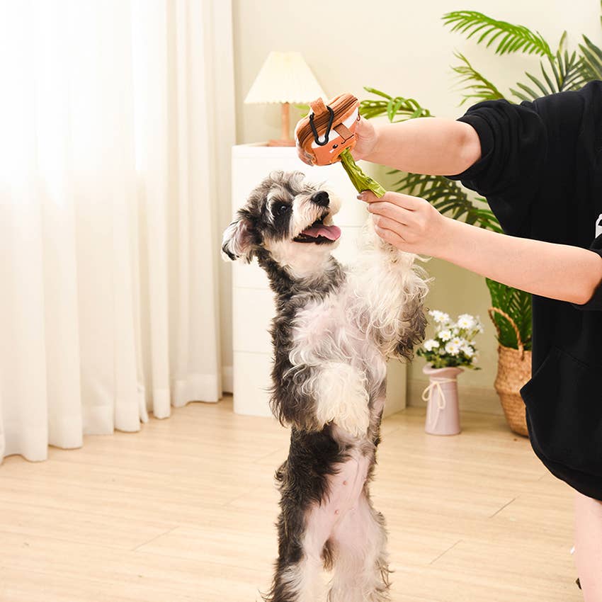 Bubble Tea– Pooch Pouch