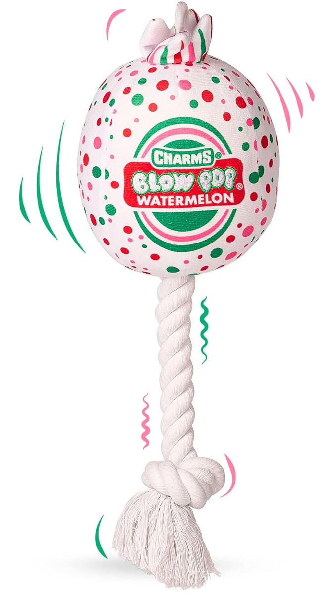 Blow Pop Plush & Rope Dog Toy