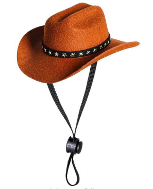 Cowboy Hat