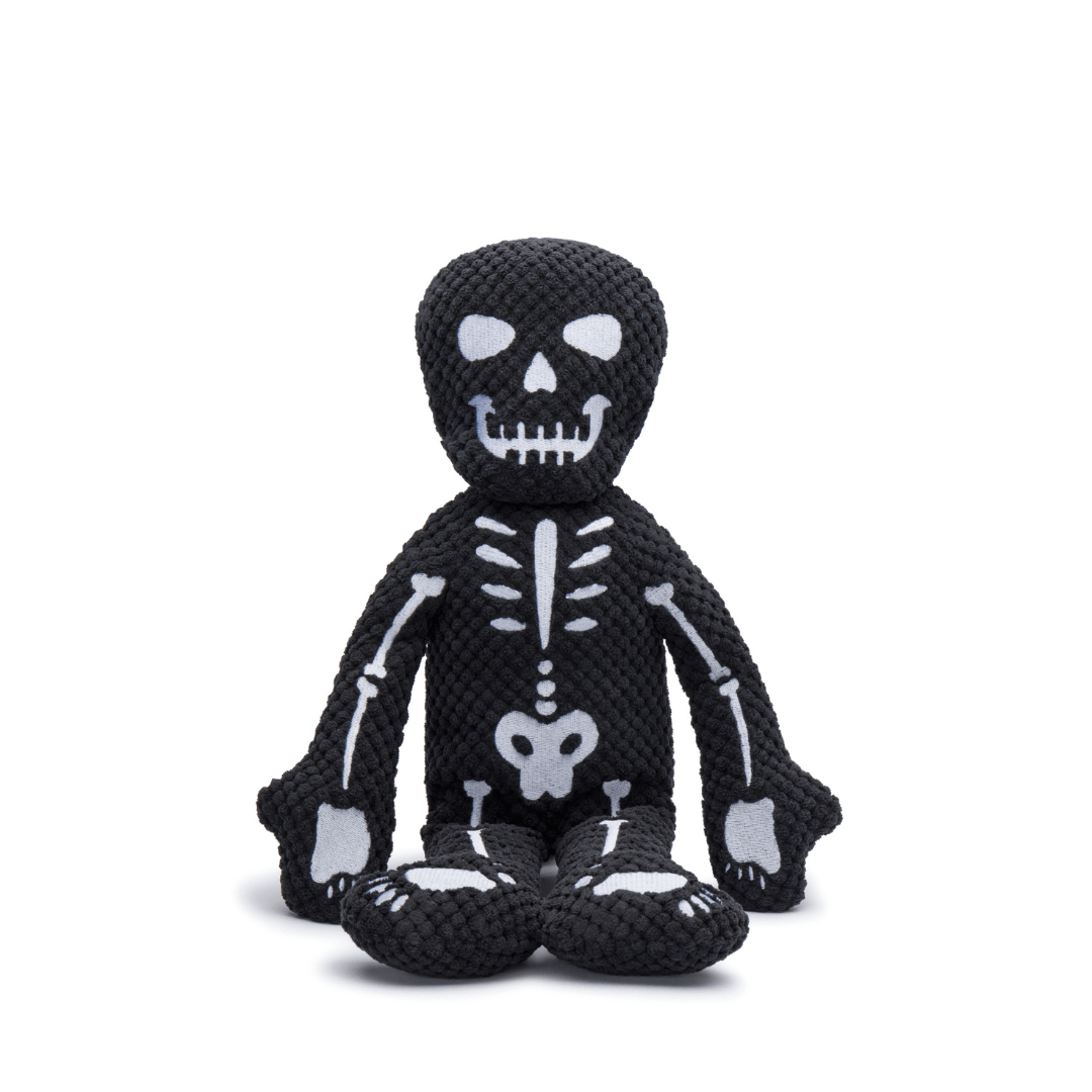 Skeleton