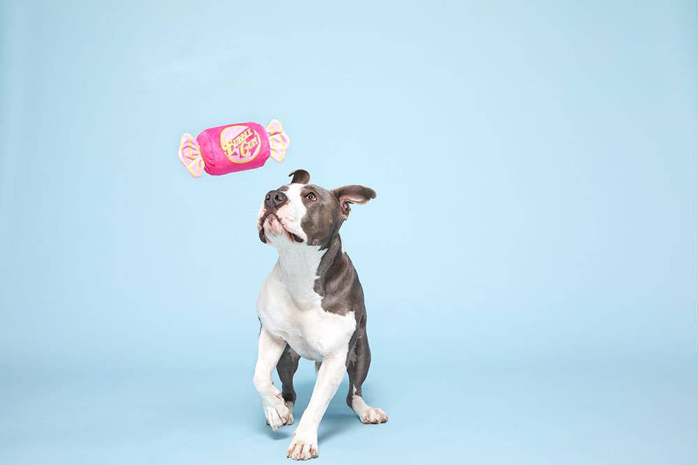Bubble Gum