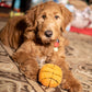 Basketball Plush Dog Toy 4"