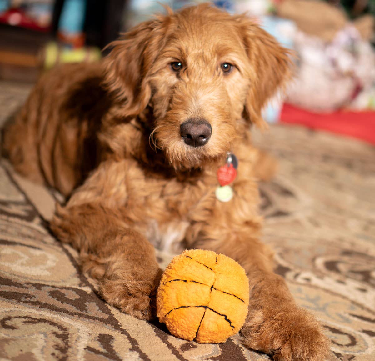 Basketball Plush Dog Toy 4"