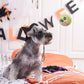 Zombie - Dog Ball Toy