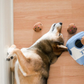 Milk and Cookies - Dog Toy