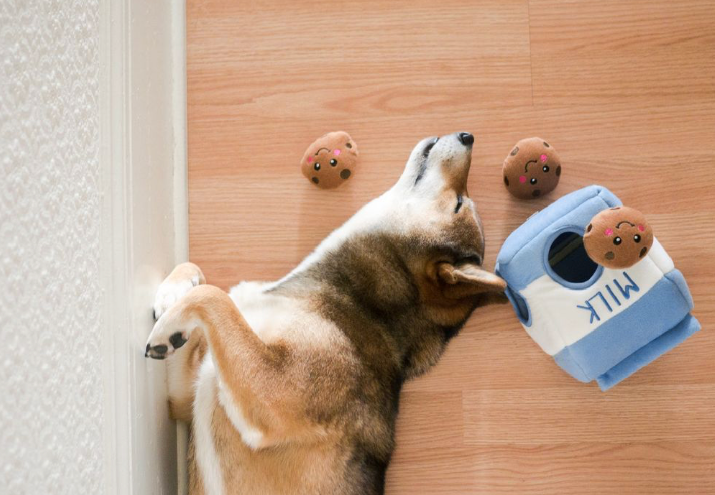 Milk and Cookies - Dog Toy