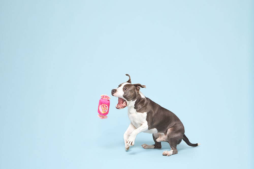 Bubble Gum