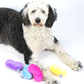 Jelly Bean Easter Dog Toy