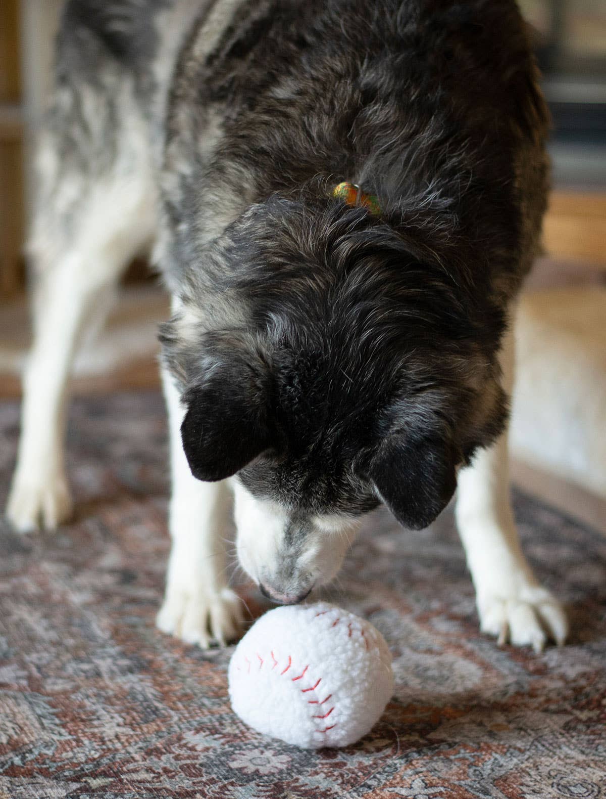 Baseball Plush Dog Toy 4"
