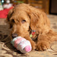 3-Scoop Birthday Ice Cream Cone Plush Dog Toy 12"