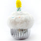 Birthday Cupcake