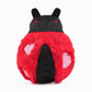 Love Bug - Woof Love  | Love Bug - Dog Ball Toy