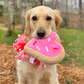 Pink Heart Sugar Cookie Dog Toy