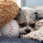 Baseball Plush Dog Toy 4"