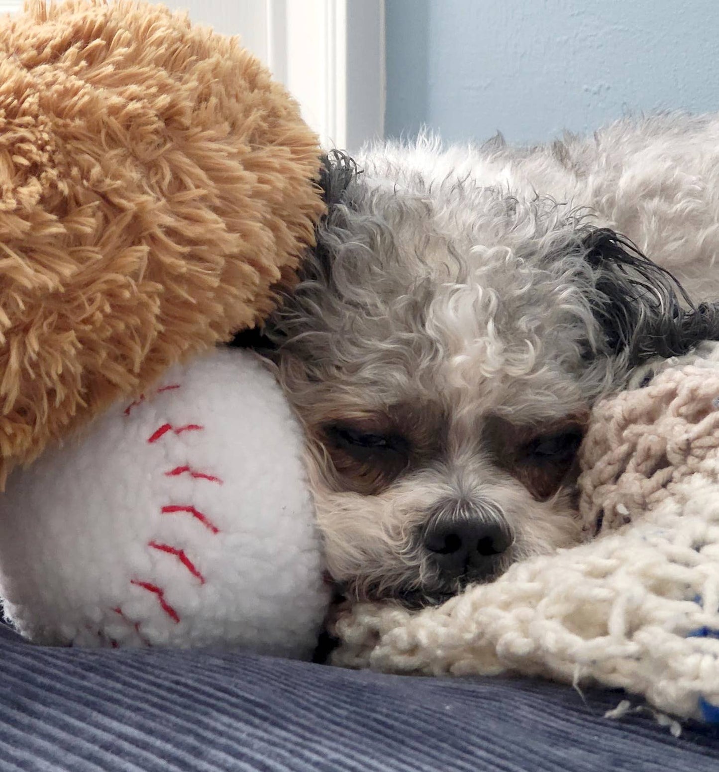 Baseball Plush Dog Toy 4"