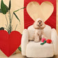 Roses - Woof Love - Dog Rope Toy