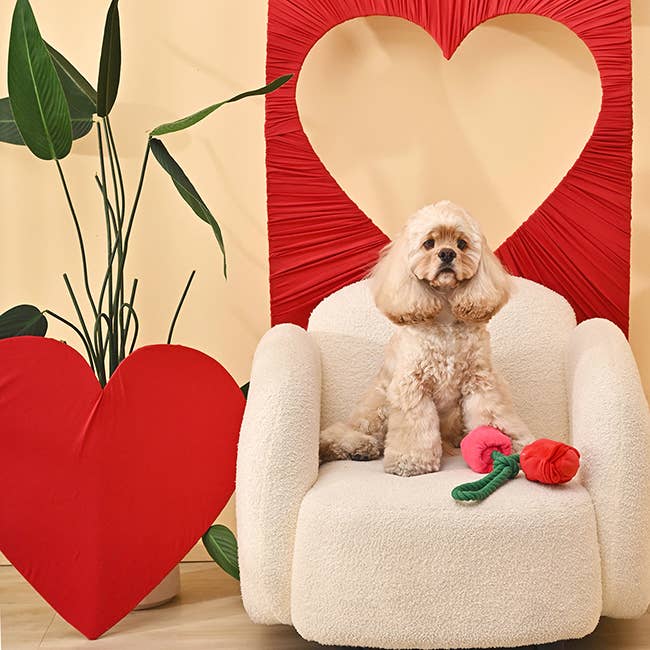 Roses - Woof Love - Dog Rope Toy