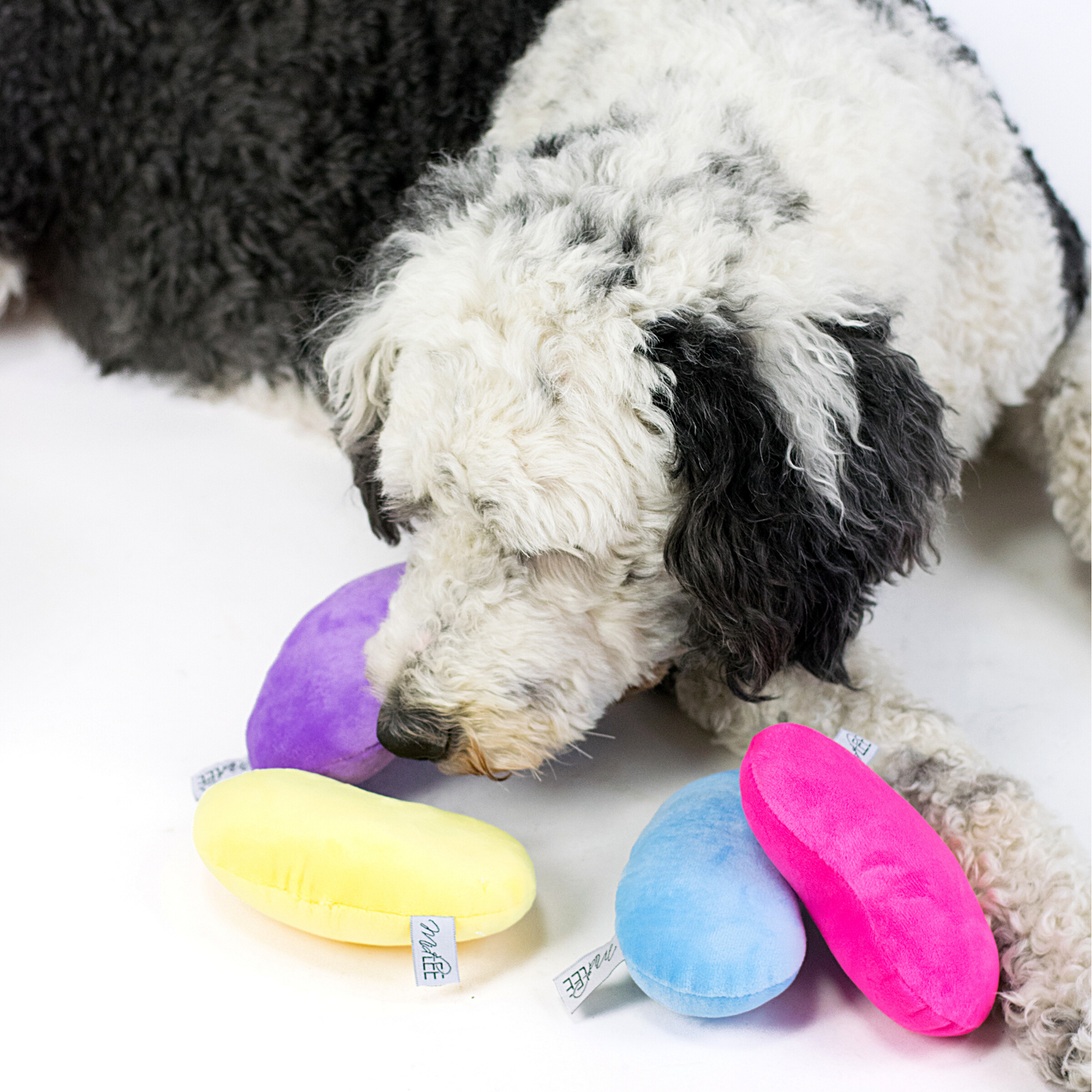 Jelly Bean Easter Dog Toy
