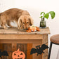 HugSmart Pet - Howloween Night | Spider - Dog Ball Toy