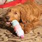 3-Scoop Birthday Ice Cream Cone Plush Dog Toy 12"