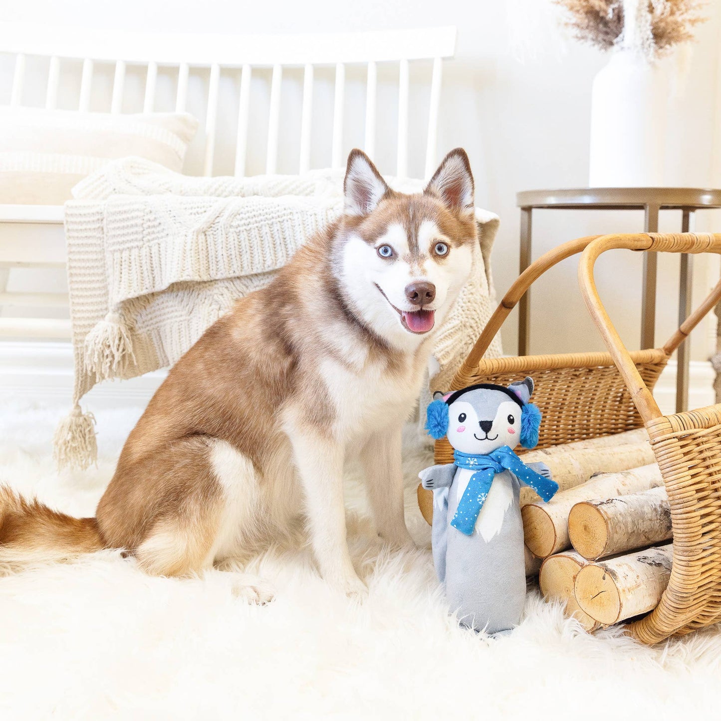 Wagsdale Looking Cool Plush Dog Toy