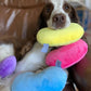 Jelly Bean Easter Dog Toy