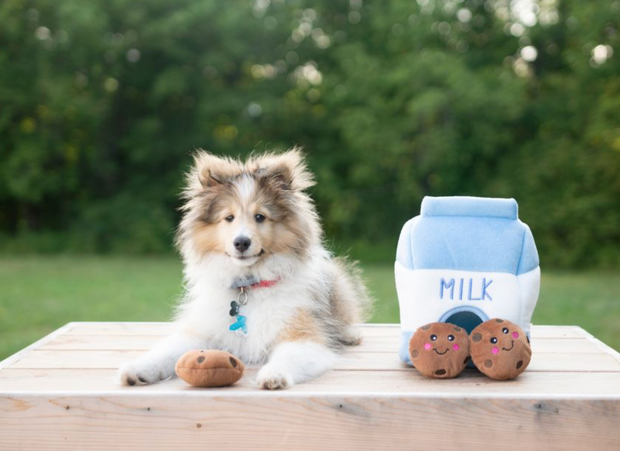 Milk and Cookies - Dog Toy