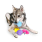 Jelly Bean Easter Dog Toy