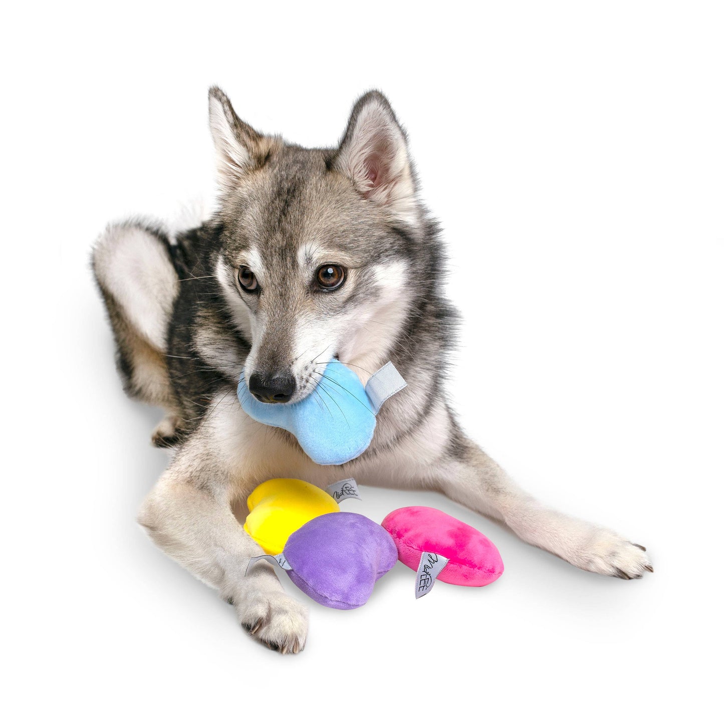 Jelly Bean Easter Dog Toy