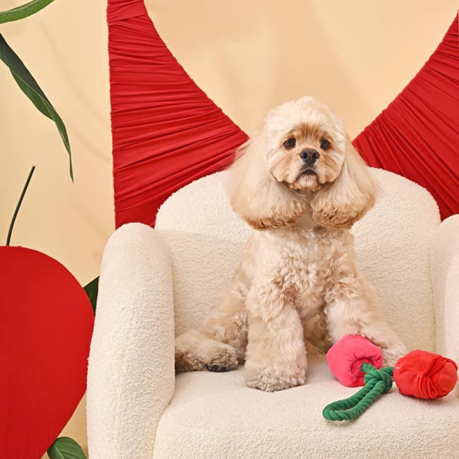 Roses - Woof Love - Dog Rope Toy