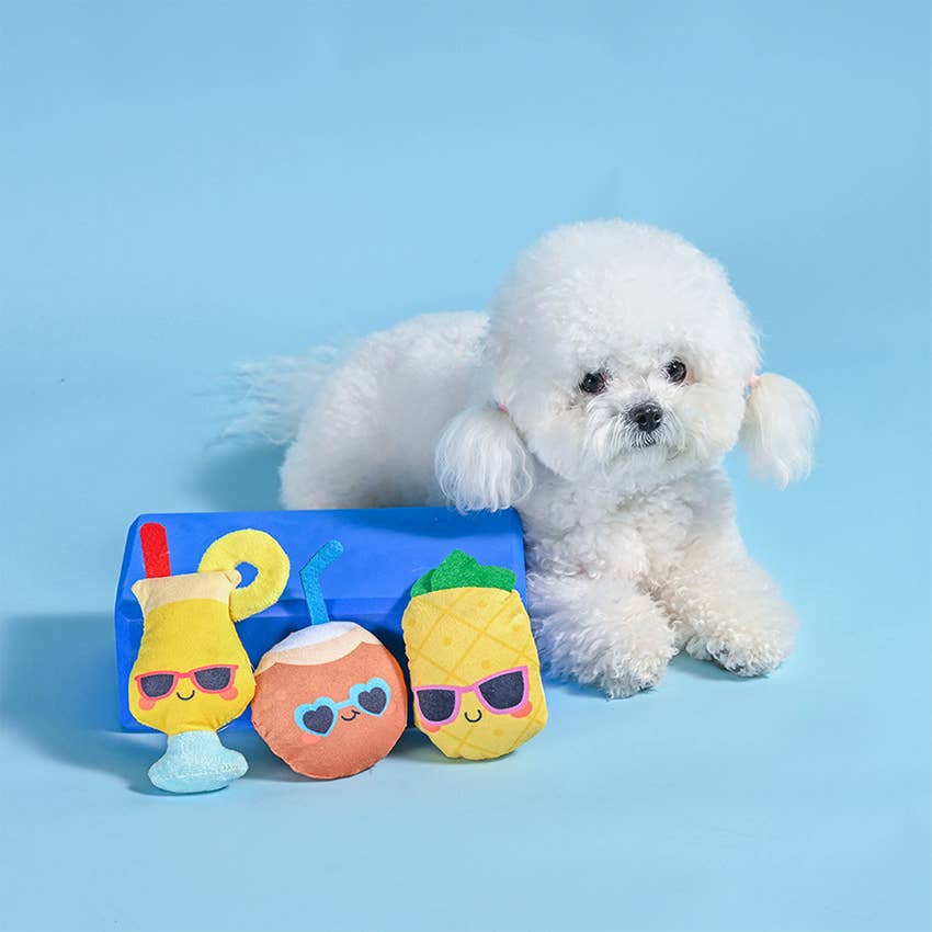 Pina Cola - Dog Plush Toy