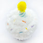 Birthday Cupcake