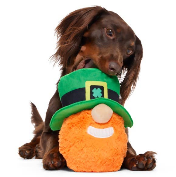 St. Patrick's Day Leprechaun Dog Toy