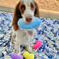 Jelly Bean Easter Dog Toy