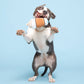 Cup of Bark Roast Plush Dog Toy