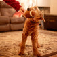 Football Plush Dog Toy 6.5"