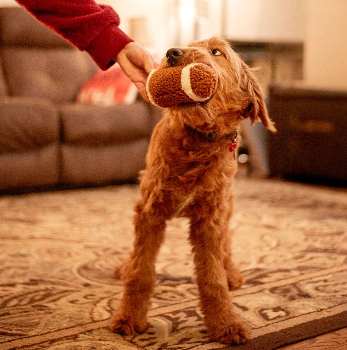 Football Plush Dog Toy 6.5"