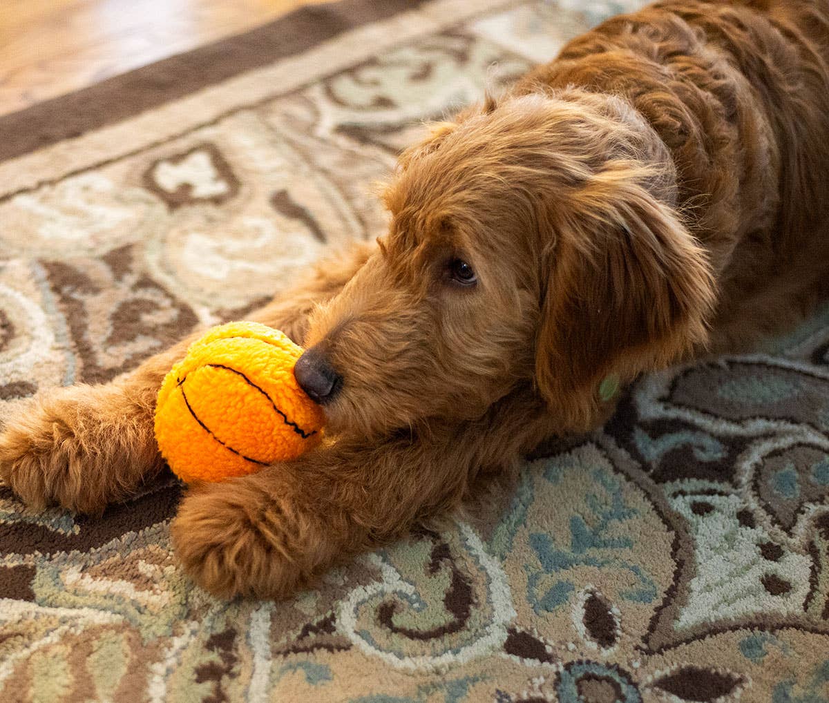 Basketball Plush Dog Toy 4"