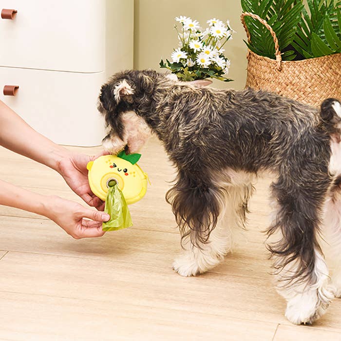Lemon– Pooch Pouch | Lemon