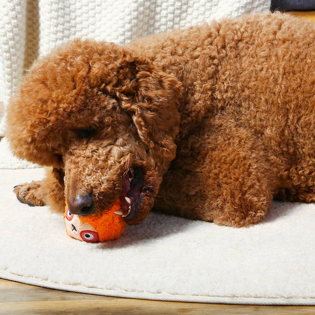 Sloth - Zoo Ball | Sloth - Dog Ball Toy