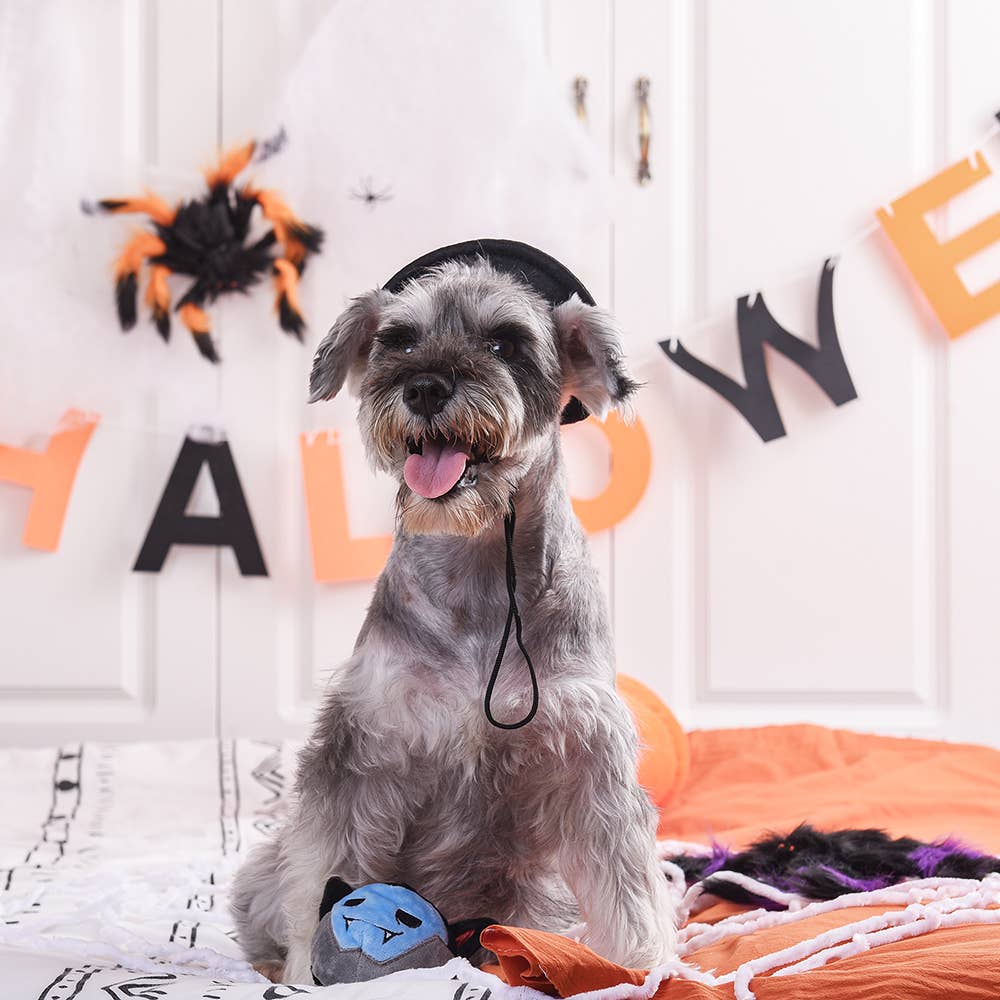 Vampire | Howloween Night -Dog Ball Toy