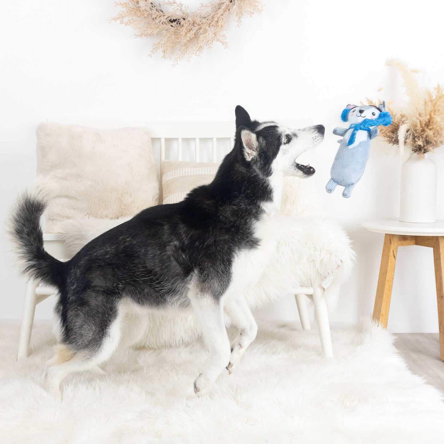 Wagsdale Looking Cool Plush Dog Toy