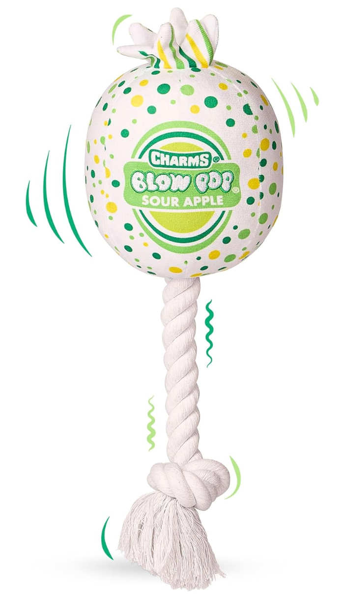 Blow Pop Plush & Rope Dog Toy