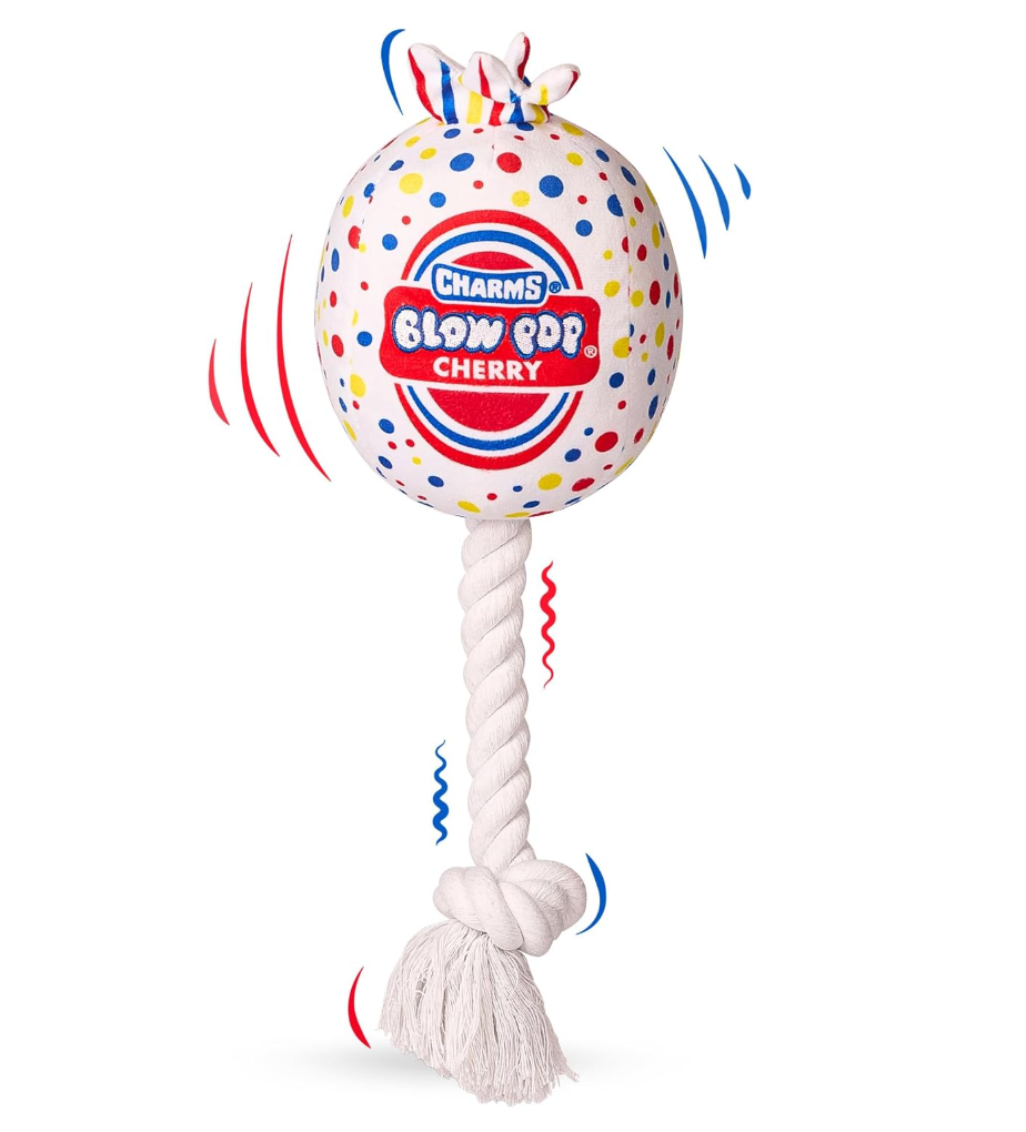 Blow Pop Plush & Rope Dog Toy