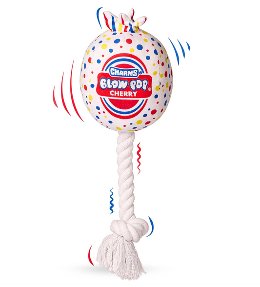 Blow Pop Plush & Rope Dog Toy