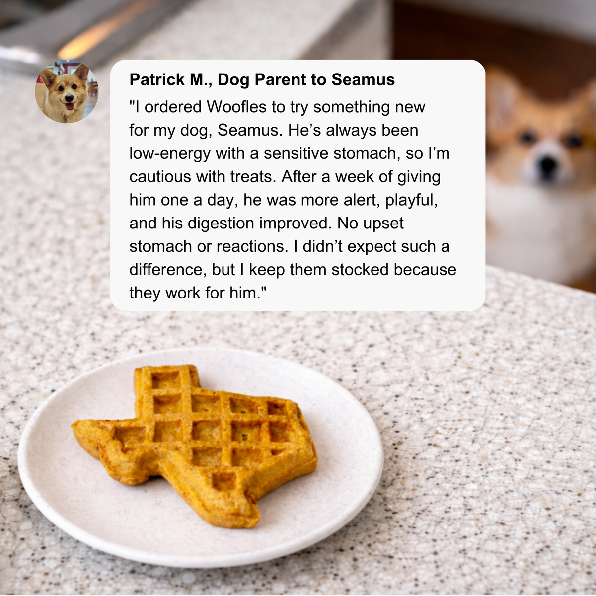 Howdy Honey Woofle Dog Treats