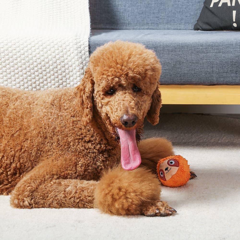 Sloth - Zoo Ball | Sloth - Dog Ball Toy
