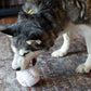 Baseball Plush Dog Toy 4"