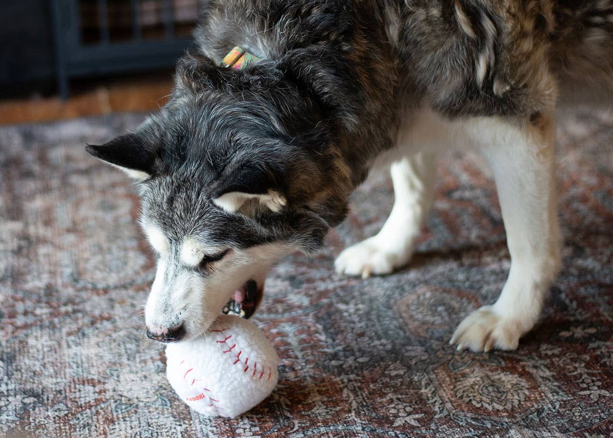 Baseball Plush Dog Toy 4"