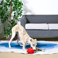 Watermelon Popsicles- Plush Toy